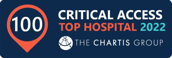 Critical Access Top 100 Hospital 2023 from the Chartis Group badge
